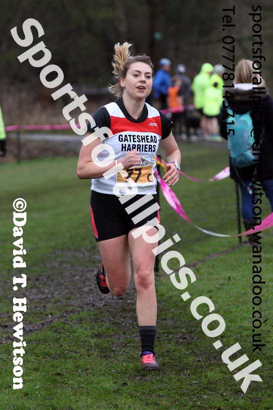 Senior and veteran womens Durham Cathedral Cross Country Relays, Maiden Castle, Durham. Photo: David T. Hewitson/Sports for All Pics